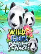 superslot ใหม่สล็อต อา แปะ ที่จะทำให้คุณต้องลอง